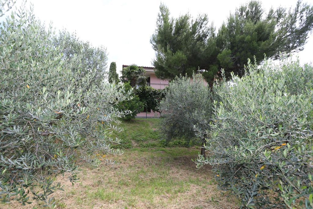 Mejak & Bordon Villa Sečovlje Exterior foto