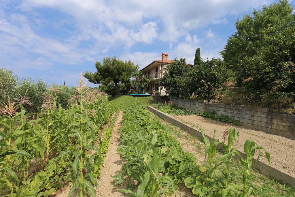 Mejak & Bordon Villa Sečovlje Exterior foto