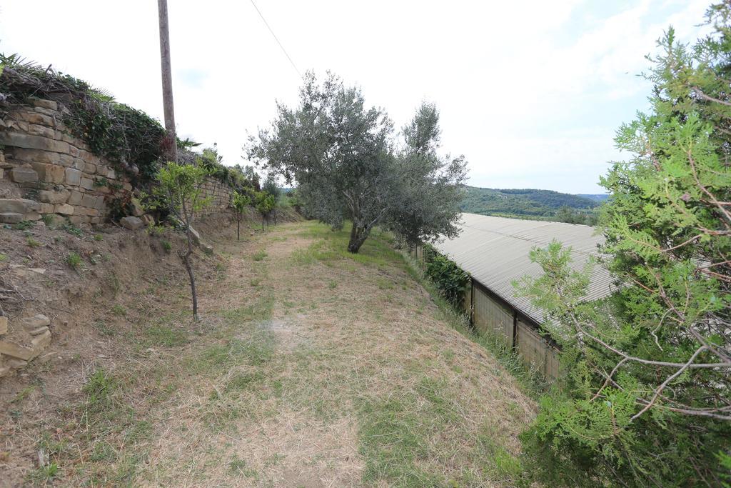 Mejak & Bordon Villa Sečovlje Exterior foto